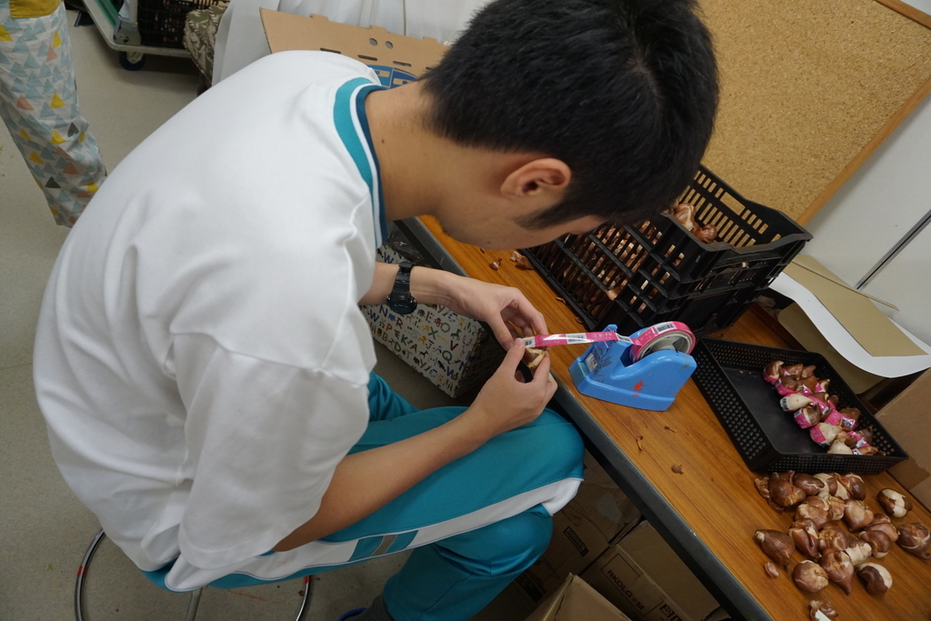 f:id:majerca:20180924161646j:plain